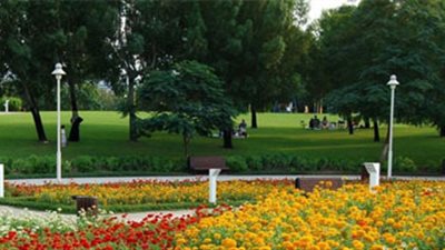 الزراعة: فتح حديقة الأورمان و34 غابة شجرية بالمجان فى ثانى أيام العيد