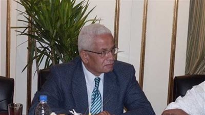 «الشندويلي»: توضيح الحوافز الاستثمارية باللائحة التنفيذية أهم عوامل جذب الاستثمارات