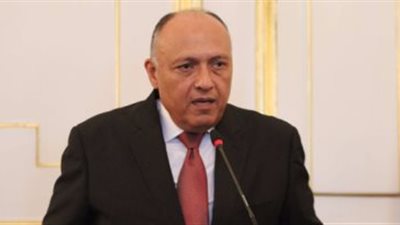 مصر تطالب بحماية دولية لمسلمي الروهينجا