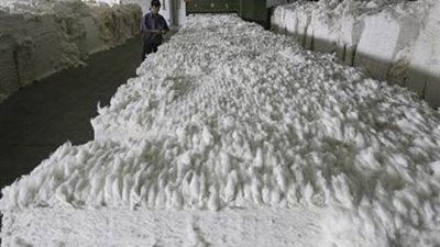 «الزراعة» تخصص 50% من محصول القطن لـ«القابضة للغزل والنسيج» 