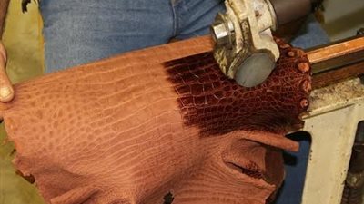 عمومية «دباغة الجلود» تطالب بالتحقيق فى إهدار 6 مليارات جنيه