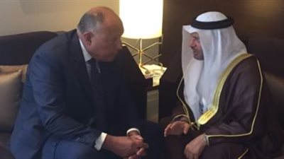 «شكرى» و«قرقاش» يبحثان مستجدات أزمة قطر.. ويؤكدان تكثيف جهود مكافحة الإرهاب