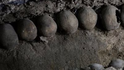 أمن أسيوط يضبط 3 أشقاء متهمين فى واقعة «جماجم القوصية»