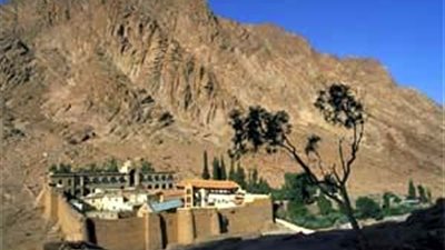 معسكر تدريبى لإعداد باحث بيئى صغير بـ«جنوب سيناء»