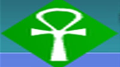 208 ملايين جنيه أرباح «كيما» لهذا العام