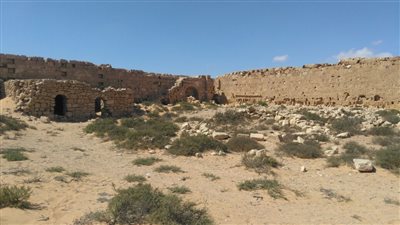 «الآثار» تبحث ترميم مباني «سيوة»