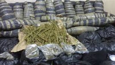 ضبط عاطل بحوزته 8.5 كجم «بانجو» قبل ترويجها بـ«المرج»