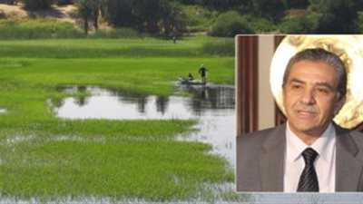 البيئة تعقد ندوات عن المبانى الخضراء والمحميات الطبيعية