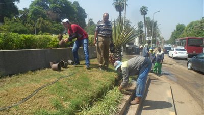 بالصور.. حملات موسعة لنظافة وصيانة المسطحات الخضراء بـ«الجيزة» 