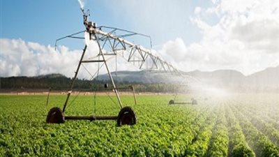 «المركزى للإحصاء»: 11.4 مليار جنيه إجمالى قروض المزارعين خلال 2016