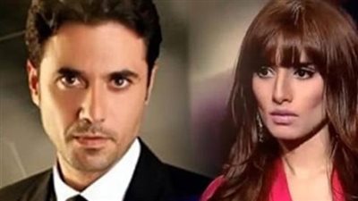 حيثيات الحكم النهائي بنسب توأم زينة لـ«أحمد عز»