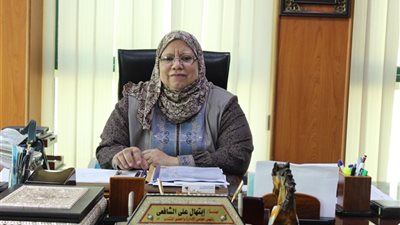 5.8 مليارات جنيه إيرادات «شمال الدلتا لتوزيع الكهرباء» في 2017