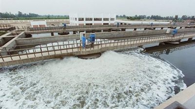 قرار جمهورى بإقامة غابة خشبية ومحطة للصرف الصحى بأسوان