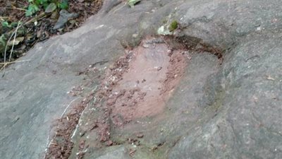 اكتشاف آثار ديناصور تعود للعصر الجوراسي