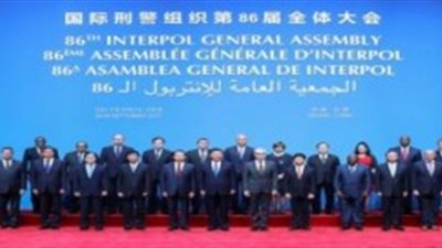 رسميا.. قبول عضوية فلسطين فى الإنتربول