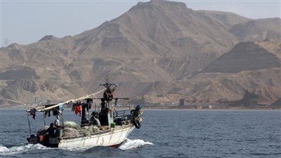 ميناء دمياط يستقبل 11 سفينة في 24 ساعة