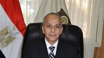 محافظ القليوبية: فتح باب الترخيص لـ«التوك توك» اعتباراً من أكتوبر المقبل