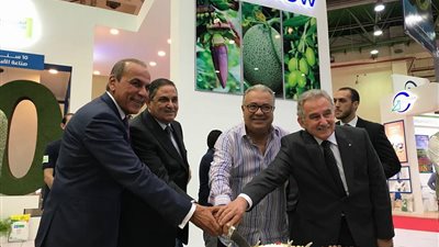 «الخشن»: ايفرجرو تتعاون لضخ استثمارات جديدة بنسبة 9.5 مليار جنيه بالسوق المصرية