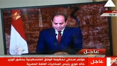 السيسي: قضية فلسطين فى مقدمة أولويات مصر رغم تحدياتها الجسيمة