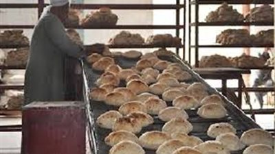 تحرير 48 محضراً لمخابز في ديروط بأسيوط