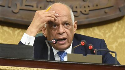 «عبدالعال» يعلن إعادة الانتخابات في 3 لجان نوعية بـ«النواب»