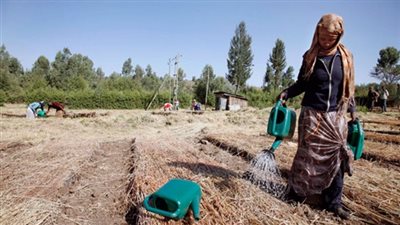 غدًا.. العالم يحتفل باليوم الدولي للمرأة الريفية