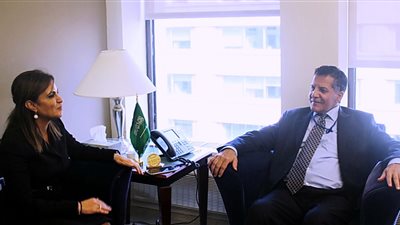 «الاستثمار» تبحث مع «السعودى للتنمية» الإسراع فى مشروع تنمية سيناء 