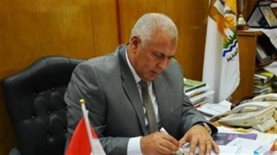 «الوادى الجديد»: إنشاء منطقة صناعية بالفرافرة على مساحة 100 فدان