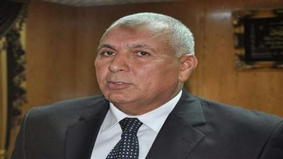 «الوادى الجديد» تشكل لجنة لحصر محاجر «الداخلة»