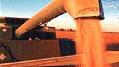 غدًا..عمومية «مطاحن شرق الدلتا» تناقش توزيع 11.25 جنيه للسهم