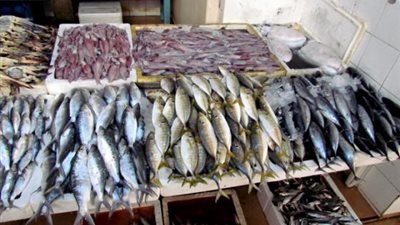 أسعار الأسماك اليوم الأحد 5-11-2017.. والبلطي بـ27 جنيهًا