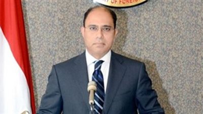 «الخارجية المصرية» تستدعى سفراء 5 دول احتجاجاً على بيان احتجاز «إبراهيم متولى»