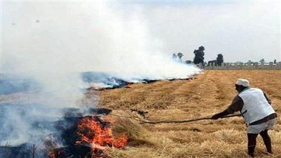 وزير البيئة: 79% نسبة تجميع قش الأرز خلال 2017