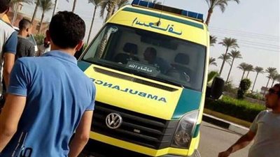 إصابة 12 شخصًا في حادث انقلاب ميكروباص بالدقهلية