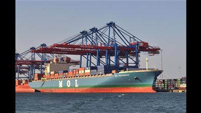 ميناء سفاجا يستقبل 1290 رأسا من العجول الحية قادمة من السودان