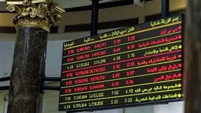 المنصورة للدواجن تنفي شراء قطعة أرض