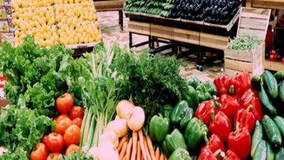 صادرات الإسماعيلية الزراعية تتجاوز 400 مليون دولار خلال 2017