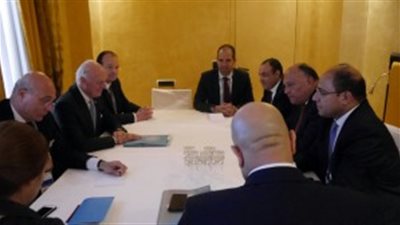 «شكري» يبحث سبل الدفع بالحل السياسي في سوريا