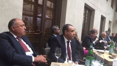 شكري يشارك في غذاء عمل حول «التنمية في أفريقيا»