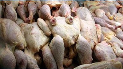 «الزراعة»: ضبط 12 طن دواجن ولحوم فاسدة بالمحافظات.. خلال أسبوع 