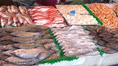 استقرار أسعار الأسماك .. و«السبيط» بـ 100 جنيها للكيلو