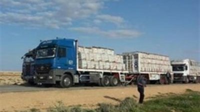 الأعمال المصري السودانى: نسعى لتعزيز التبادل التجارى بين البلدين