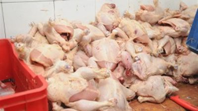 «الصحة» : اعدام 40 طن أغذية فاسدة بـ«محافظات الجمهورية» خلال أسبوعين