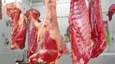  أسعار اللحوم اليوم.. «الكندوز» بـ 140 جنيها للكيلو