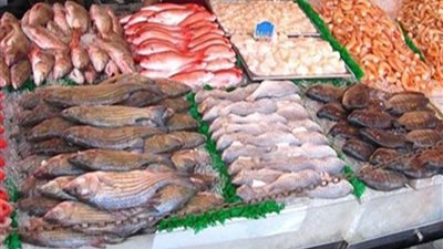 أسعار الأسماك اليوم... والكابوريا 125 جنيهًا