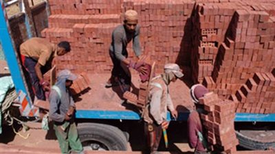  استقرار أسعار الطوب والجبس.. و«البلاح» بـ600 جنيه 