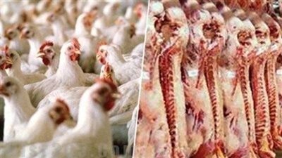 اسعار اللحوم والدواجن فى بعض المحافظات