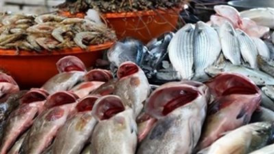 البلطي يسجل 19.5 جنيهًا والكابوريا بـ125 في سوق العبور