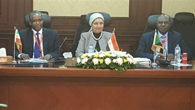 نتائج اجتماع الوفود رفيعة المستوى حول إنشاء صندوق ثلاثي الأطراف لتمويل المشروعات التنموية والاستثمارية في مصر واثيوبيا