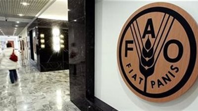  فاو: أسعار الغذاء العالمية انخفضت 3.7% فى يوليو 